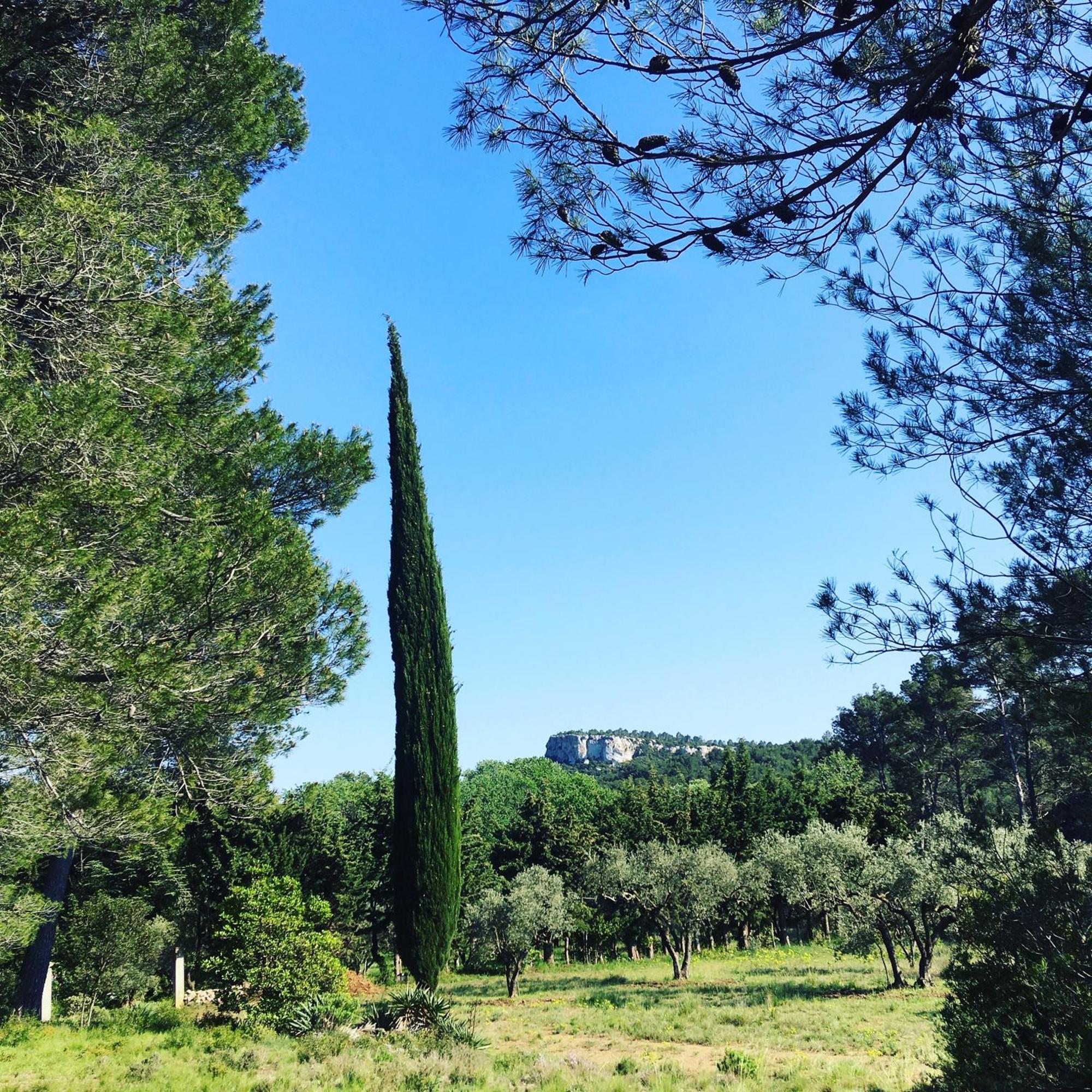 Cabane De La Leque Fontvieille Exterior foto