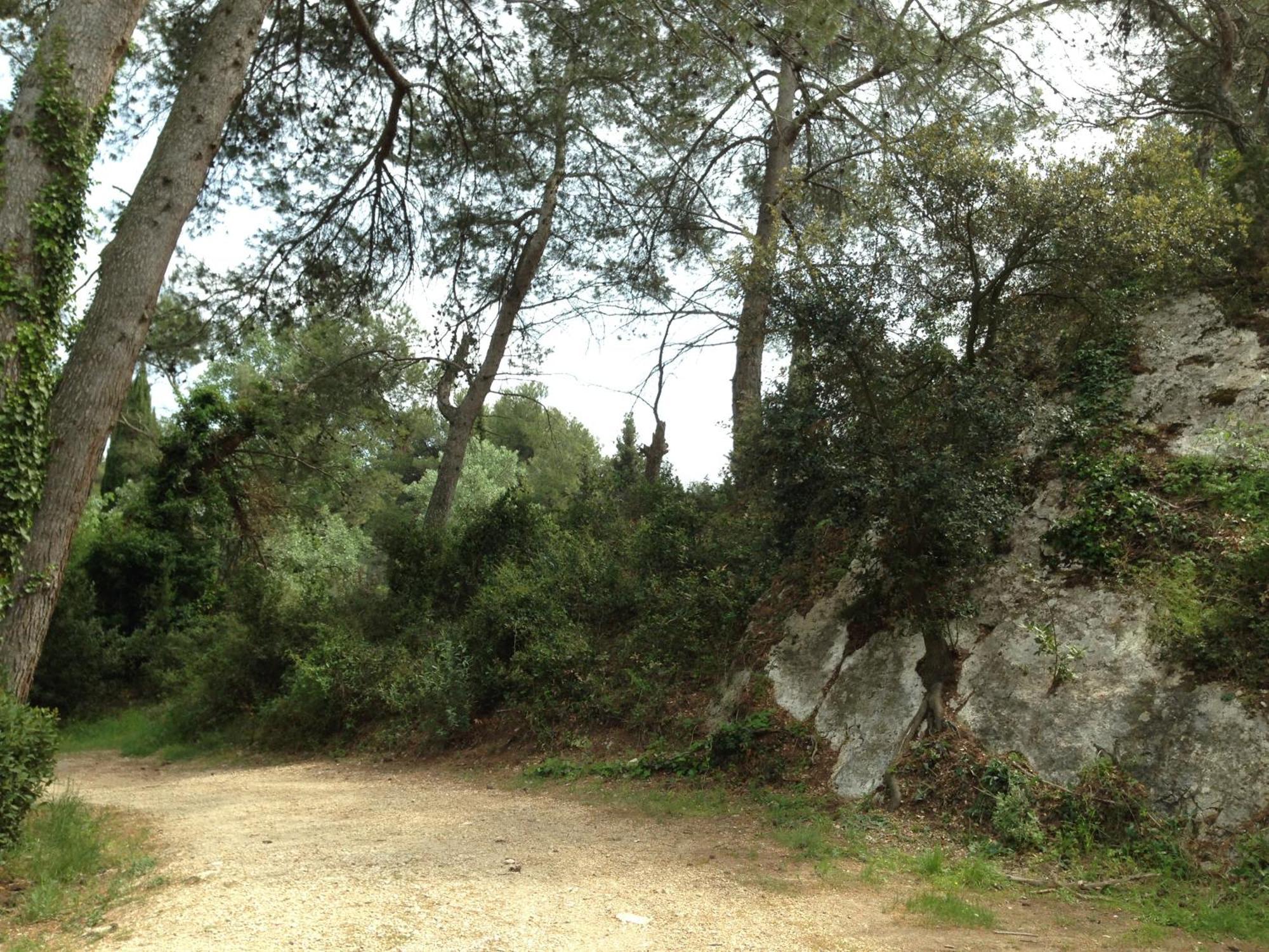 Cabane De La Leque Fontvieille Exterior foto